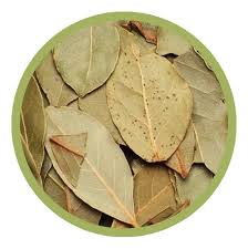 ABACATEIRO