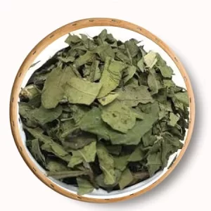 AROEIRA