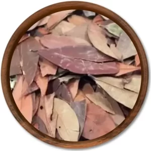 INSULINA