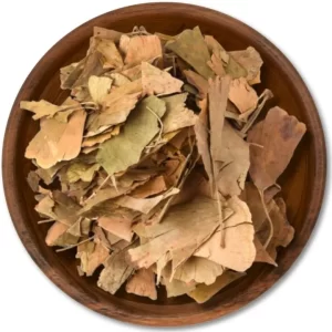 GINKO BILOBA