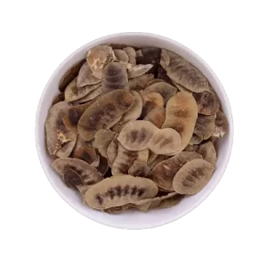 SENE FOLICULO